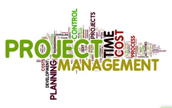 PROJECT MANAGEMENT (DPV 60332)